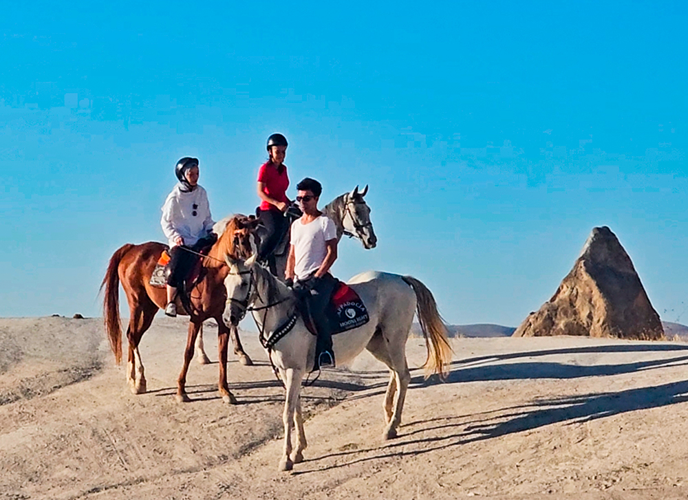 Horse Photography Valleys