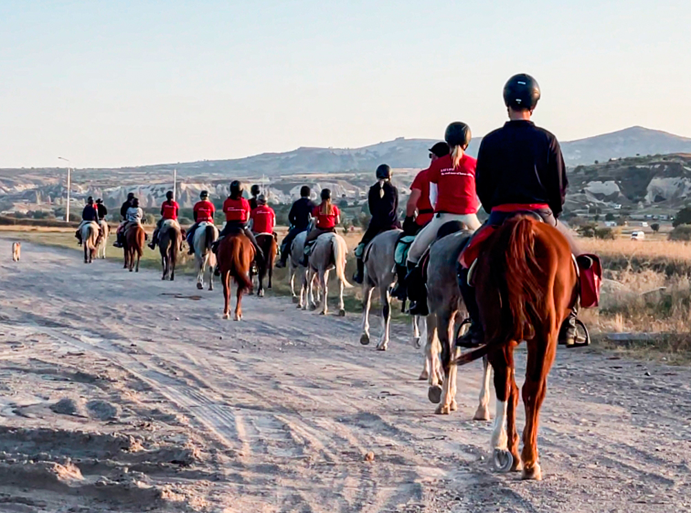 Rose Valley Horseback Riding